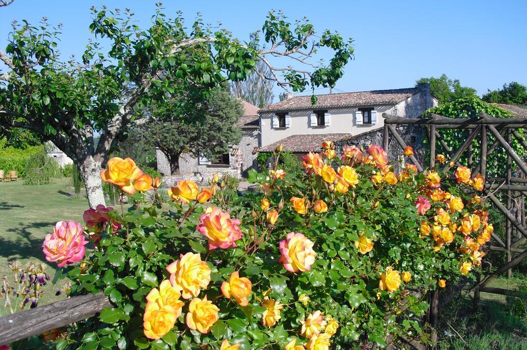 Luxury B&B Maison A Votre Sante, In Bordeaux Wine Region Savignac-de-Duras エクステリア 写真